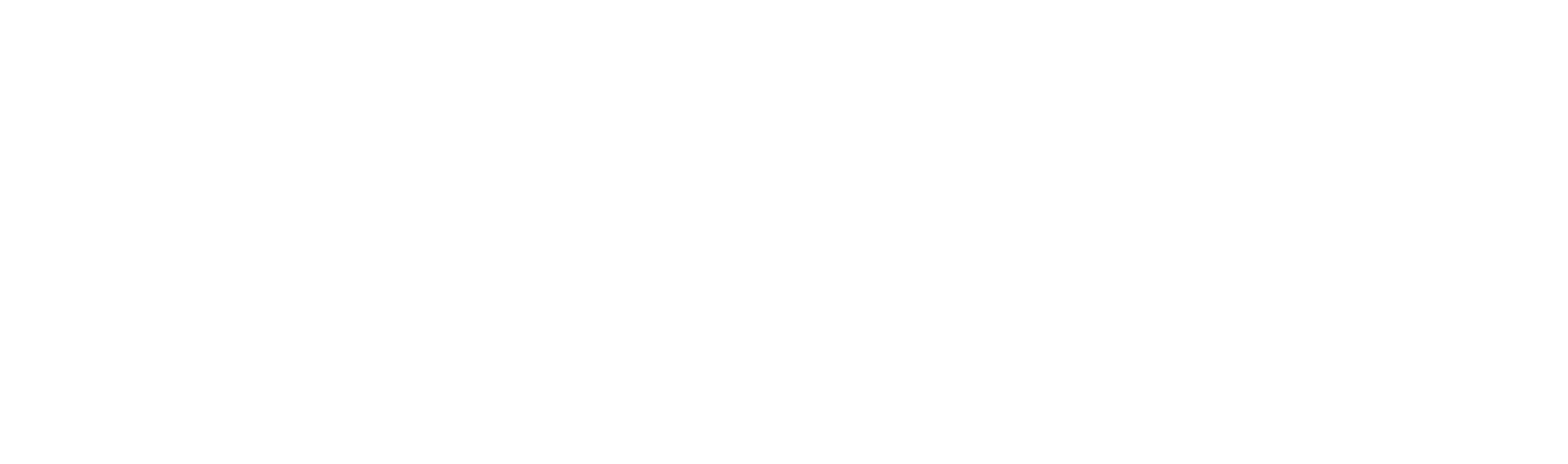 Modelo EVOLUCIONA